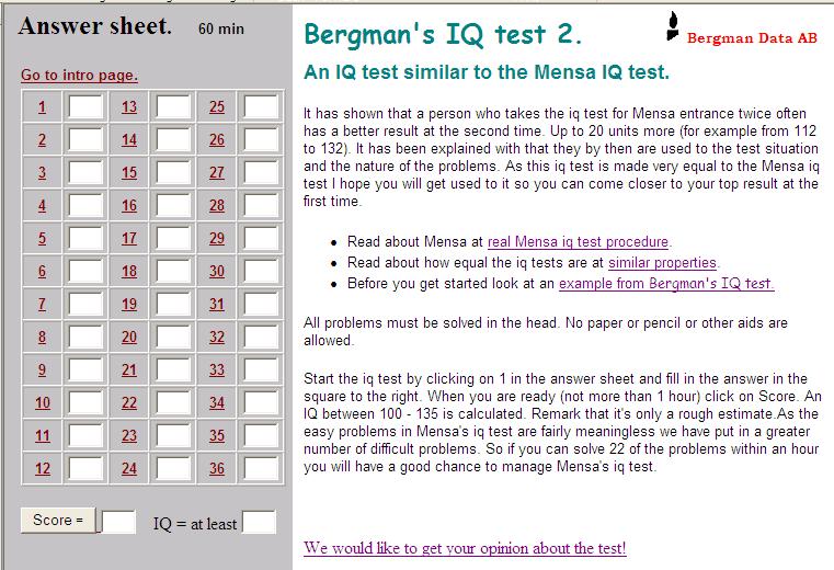 Screenshot of Bergmans IQ test